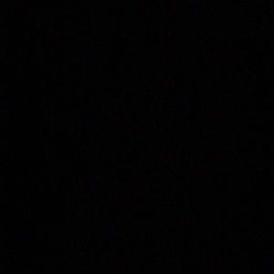 Meet your Posher, Jayla